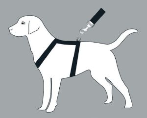 H-shaped Harness